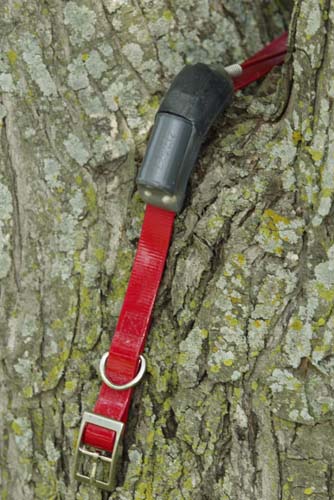 Ultra Light 4 oz. - 2000 hrs collar with tree switch